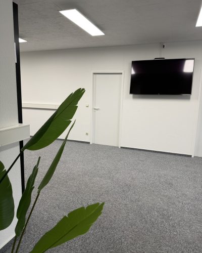 Heller Büroraum mit grauem Teppichboden, Wandfernseher und grüner Pflanze im Vordergrund